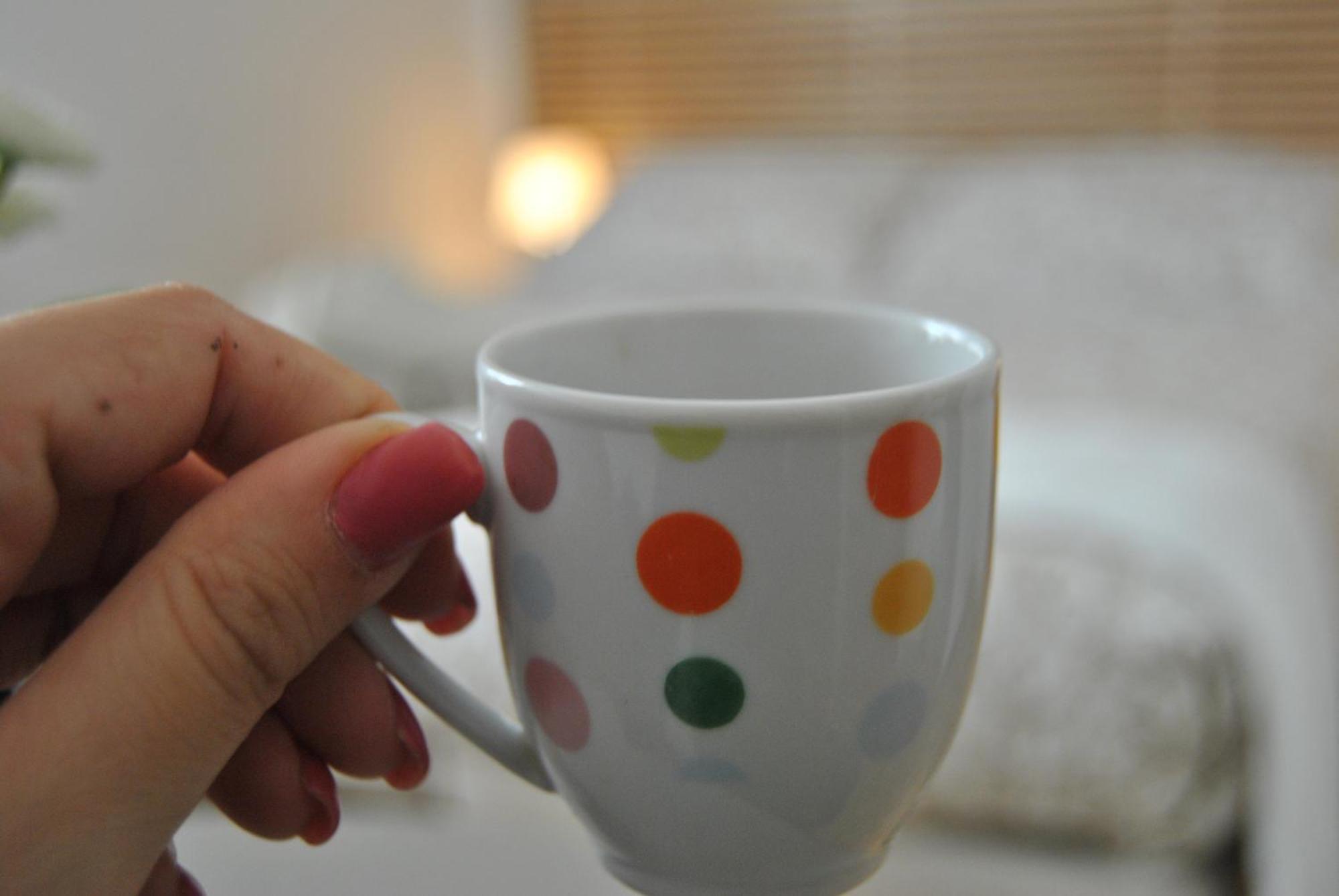 Pisaland Bed and breakfast